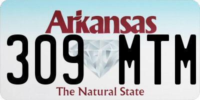 AR license plate 309MTM