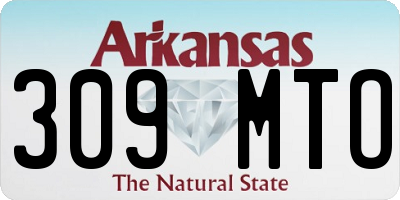 AR license plate 309MTO