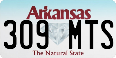 AR license plate 309MTS