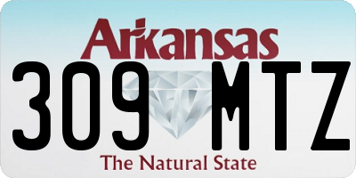 AR license plate 309MTZ
