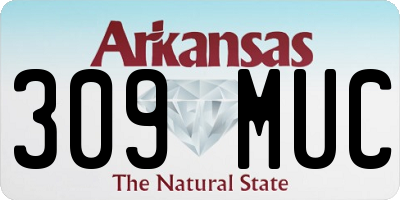 AR license plate 309MUC