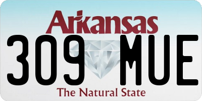 AR license plate 309MUE