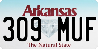 AR license plate 309MUF