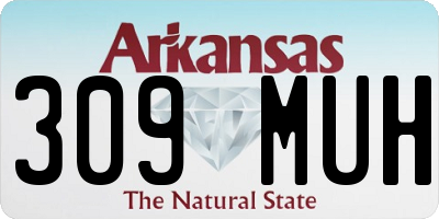 AR license plate 309MUH