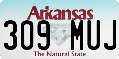 AR license plate 309MUJ