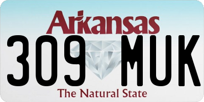 AR license plate 309MUK