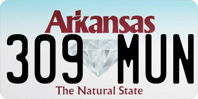 AR license plate 309MUN