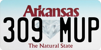 AR license plate 309MUP