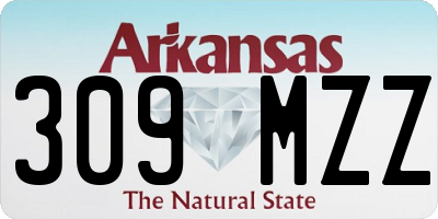 AR license plate 309MZZ