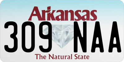 AR license plate 309NAA