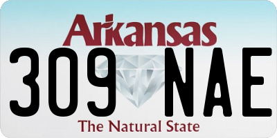 AR license plate 309NAE