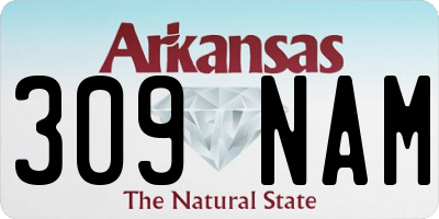 AR license plate 309NAM