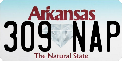AR license plate 309NAP