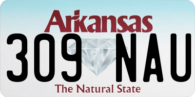 AR license plate 309NAU