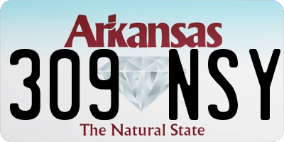AR license plate 309NSY
