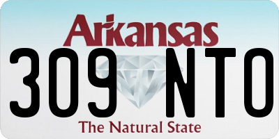 AR license plate 309NTO