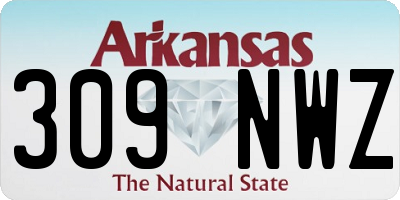 AR license plate 309NWZ