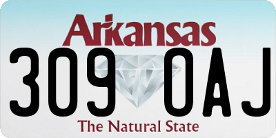 AR license plate 309OAJ