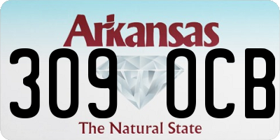 AR license plate 309OCB