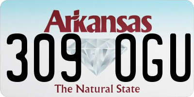 AR license plate 309OGU