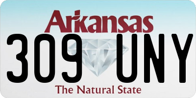 AR license plate 309UNY