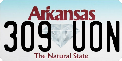 AR license plate 309UON