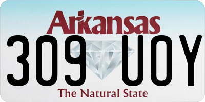AR license plate 309UOY