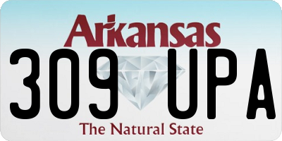 AR license plate 309UPA
