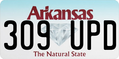 AR license plate 309UPD
