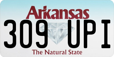 AR license plate 309UPI