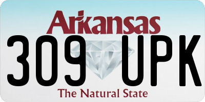 AR license plate 309UPK