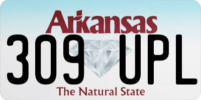 AR license plate 309UPL