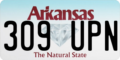 AR license plate 309UPN