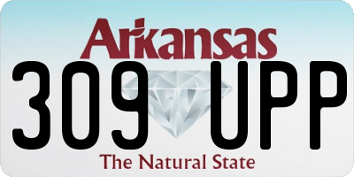 AR license plate 309UPP