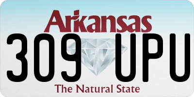 AR license plate 309UPU