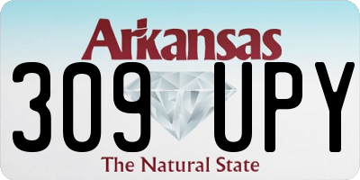 AR license plate 309UPY