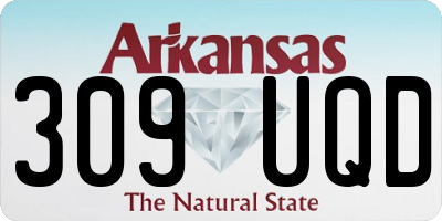 AR license plate 309UQD