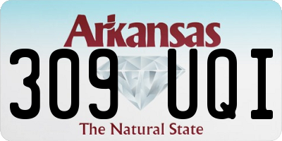 AR license plate 309UQI