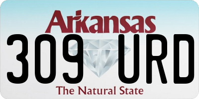 AR license plate 309URD