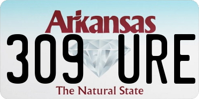 AR license plate 309URE