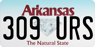 AR license plate 309URS