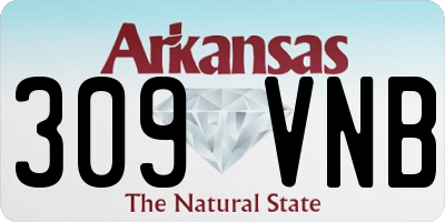 AR license plate 309VNB