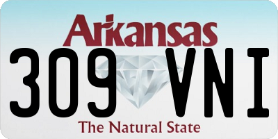 AR license plate 309VNI