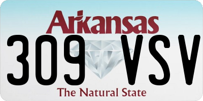 AR license plate 309VSV