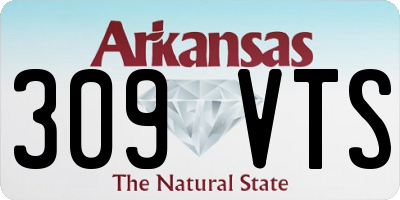 AR license plate 309VTS
