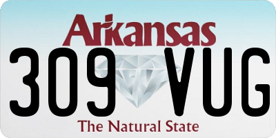AR license plate 309VUG