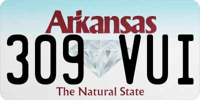AR license plate 309VUI
