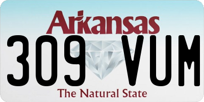 AR license plate 309VUM