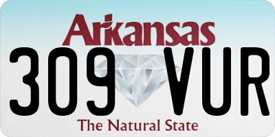 AR license plate 309VUR