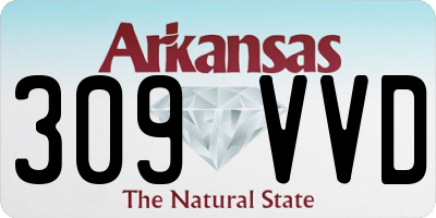 AR license plate 309VVD